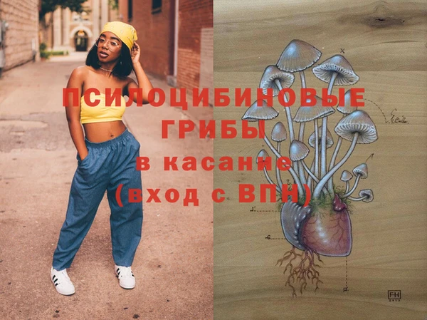 метадон Арсеньев