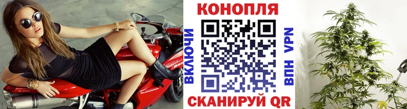 хочу Ростов Марихуана индика